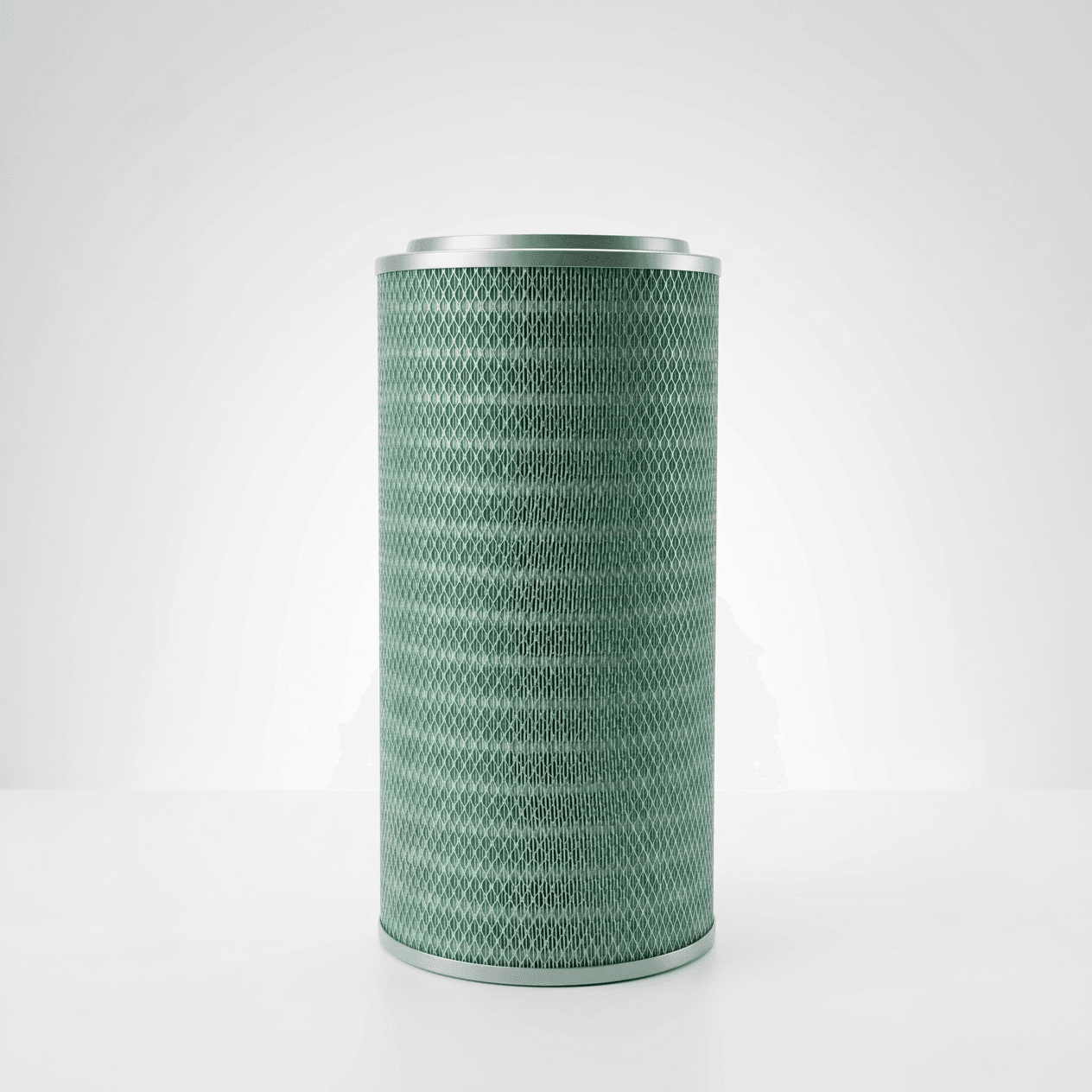 PLEATED DUST CARTRIDGE WITH WIRE CAGE